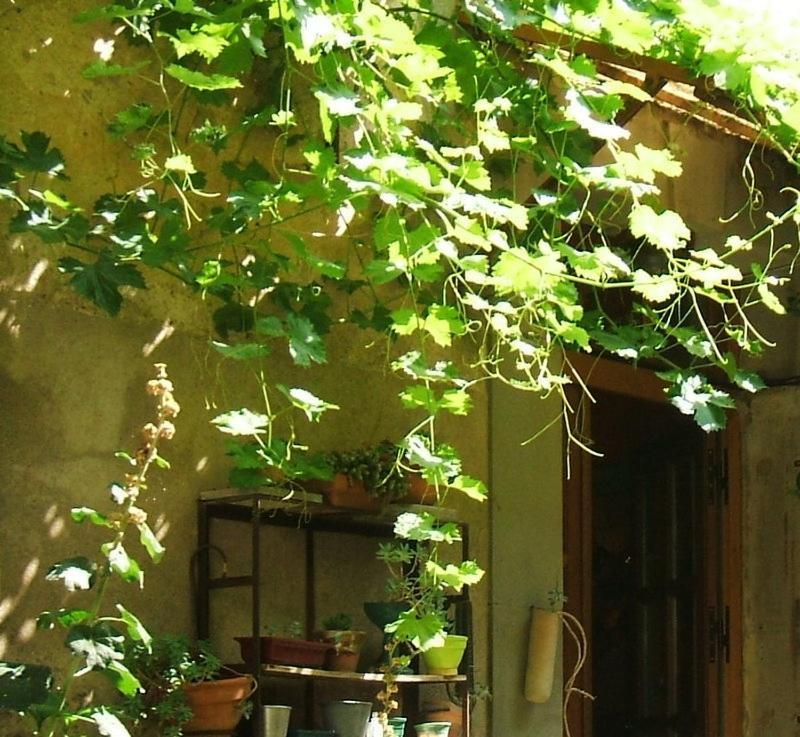 Hotel La Vigne Bleue Olonzac Zewnętrze zdjęcie