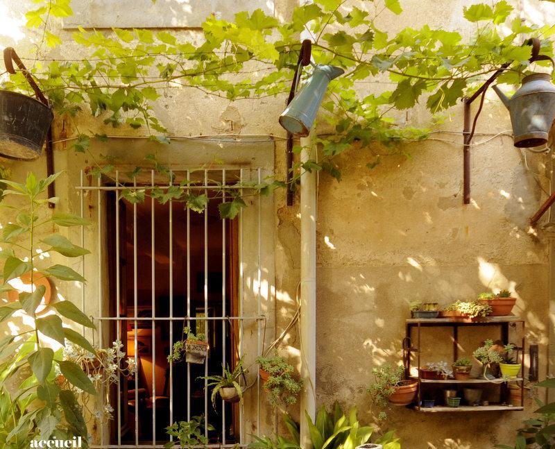 Hotel La Vigne Bleue Olonzac Zewnętrze zdjęcie